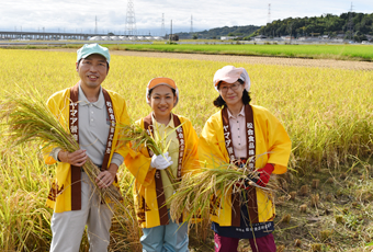 熊本県宇土市 水田