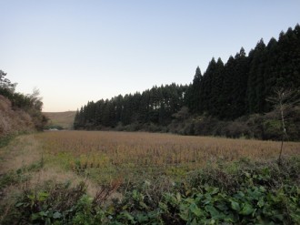DSC04962